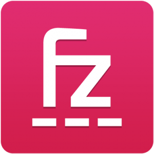Logo Fitizzy